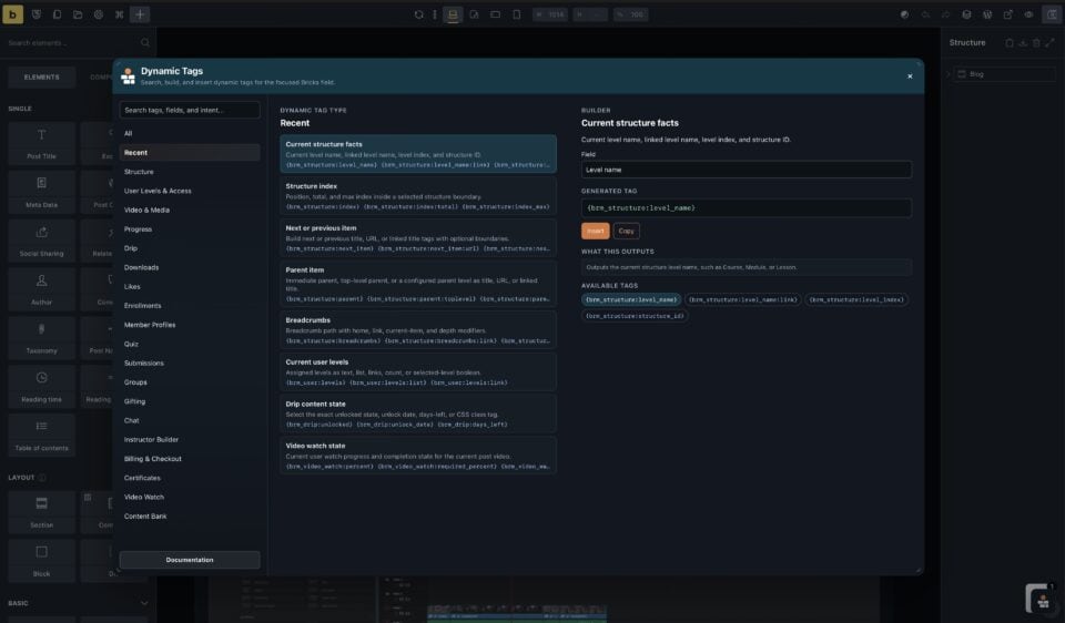 BricksMembers Dynamic Tag Assistant in action