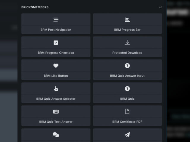 BricksMembers custom elements category in the Bricks panel with membership element controls and settings