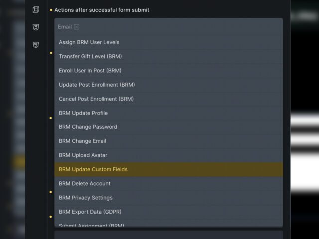 Bricks form registration actions showing Create User and Assign BRM User Levels settings