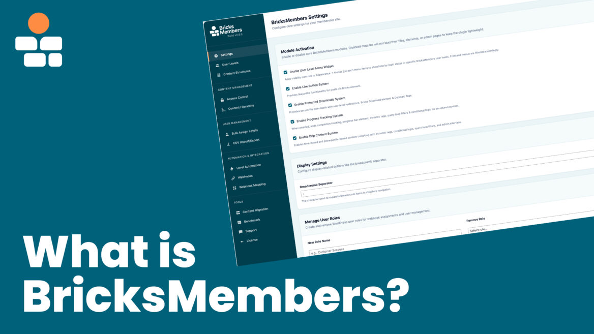 What is BricksMembers?